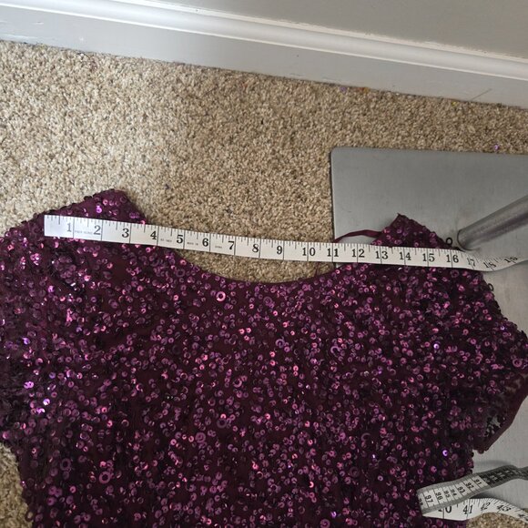 Sz 10 Adrianna Papell Scoop Back S/S Sequin Mesh Gown in Cabernet - Picture 6 of 11